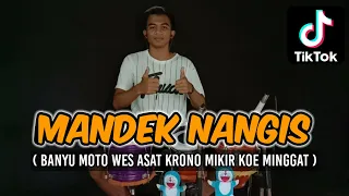 Download MANDEK NANGIS KOPLO ( Banyu Moto Wes Asat Krono Mikir Koe Minggat ) KOPLO TERBARU MP3