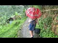 Download Lagu Wah.. Seenak Ini, Bikin Ketagihan Datang Ke Kampung Indah, Ketika Musim Hujan Di Pedesaan Jawa Barat