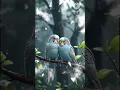 Download Lagu #🦜🤞Dil Ko Karar aya From(\