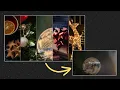 Responsive Interactive Slider with Expanding Images CSS Vanilla Javascript