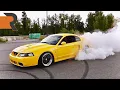 The Screaming 700HP Terminator Cobra Redefining American Muscle Forever