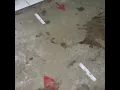 Menuju Jalan Lurus