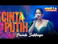 Download Lagu CINTA PUTIH - DAVINTA SALATNAYA | OM. ADELLA REAL DANGDUT FEAT CUMI CUMI AUDIO