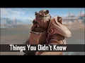 Fallout 4 5 Things You Probably Never Knew You Could Do in The Wasteland