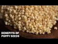 Health Benefits of Poppy seeds Remedy for Stress Relief VentunoYoga