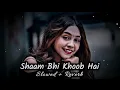 Download Lagu Sham Bhi Khoob Hai [Slowed Reverb] Udit Narayan, Kumar Sanu Alka Yagnik #lofi #lofisong #90s