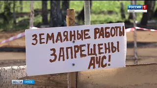 Африканская чума свиней сдает позиции