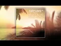 Hannah Wants & Chris Lorenzo feat. Janai - Signs (Cover Art)