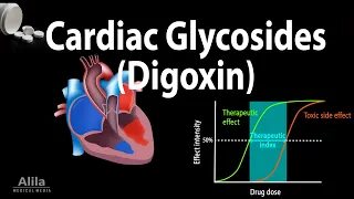 Pharmacology: Cardiac Glycosides (Digoxin), Mechanism of Action, Digoxin Toxicity, Animation
