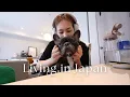 Download Lagu 日本生活vlog｜新手爸媽見習😍、最近很愛日本橋咖啡廳、配了淡彩鏡片新眼鏡👓、穿搭日常❤️｜水瓶小姐