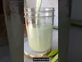 Download Lagu Resep Smoothie Mentimun yang Menyehatkan dan Melembapkan 🥒