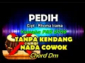 Download Lagu PEDIH RHOMA IRAMA TANPA KENDANG TANPA VOCAL NADA PRIA  KOPLO