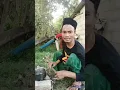 Lagu kawin kredit