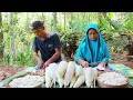 Download Lagu Bebek santan rebung kering spesial di hari raya Idul Fitri 1444 H