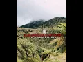 Download Lagu Kumanirega 🔥🇵🇬☠️