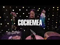 Cochemea - Pyramid Of The Sun (Live on KEXP)