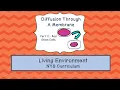 Diffusion Through A Membrane Part 2
