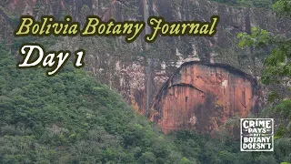 Bolivia Botany Journal Day 1