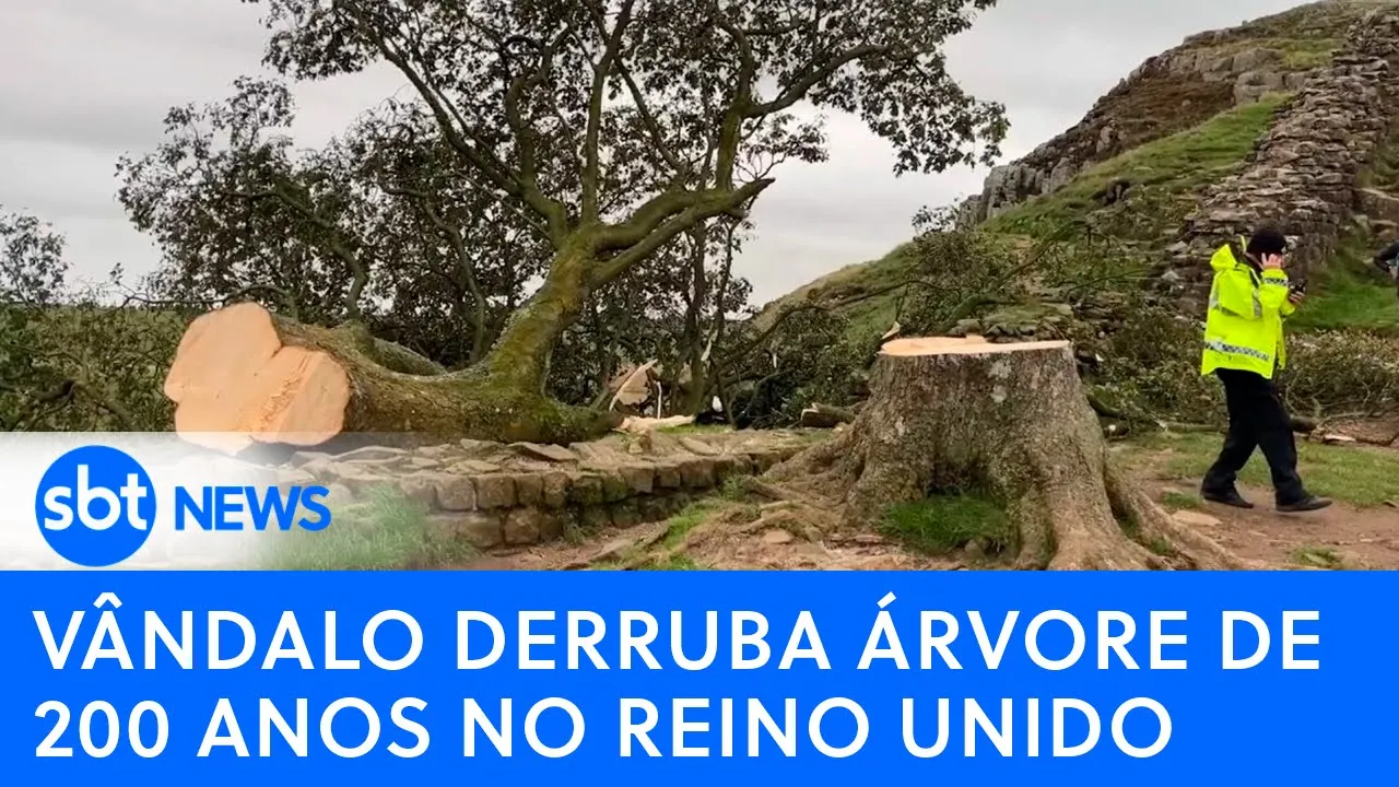 ???? Ao Vivo: Árvore do Robin Hood é derrubada | Putin aciona mercenários contra Ucrânia | Espiões