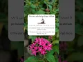 Download Lagu Dua to ask help from Allah 🤲