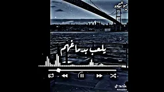كلها عارفه تمام بعضيها متعيشوهاش و تسوقوا فيها دندنها