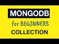MongoDB Tutorial for Absolute Beginners 16 Creation of the new Collection