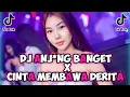 Lagu DJ ANJ*NG BANGET VIRAL TIKTOK || CINTA MEMBAWA DERITA TERBARU FULL BASS 2021