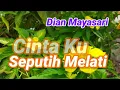 Download Lagu Cintaku Seputih Melati Dian Mayasari Judul Aslinya Biar Kusendiri