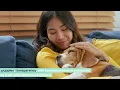 Ultimate Guide to Want Ad Digest Puppies Adoption Selling Tips More