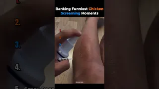 ترتيب أطرف لحظات صراخ الدجاج   دندنها