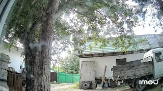                                                     دندنها