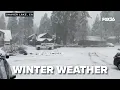 FOX26 live at Shaver Lake