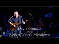 Download Lagu David Gilmour in Concert Meltdown 2001/2002 MP3
