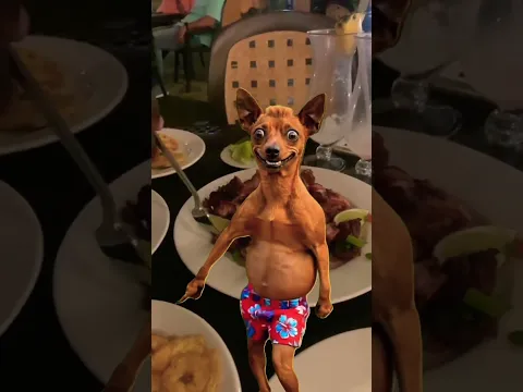 LA CENA BEBÉ