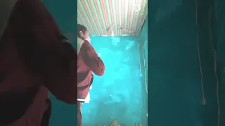 አባዩ ዘውዴ ሙዚቃ New Music 