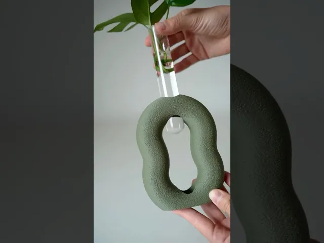 OVALINEO plant propagation vase I test tube holder video thumbnail