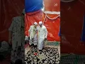 MASYA ALLAH HABIB REYHAN SAMRAH / ZAPIN BERSAMA AKHI NYA HABIB HUSEIN | #samrah