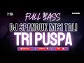 Download Lagu DJ MUNGKIN BELI LELAH KERJA TIAP HARI - TRI PUSPA SPANDUK MISI TALI | BY PUTU REMIX