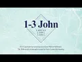 Epistles of John Bible with text ESV