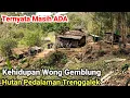 Download Lagu Kehidupan Masyarakat Suku Terpencil di Hutan Pedalaman Trenggalek