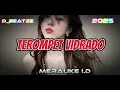 Download Lagu TEROMPET VIDRADO REMIX 2025 BY D BEATZZ