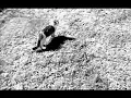 Pixies  - Where Is My Mind