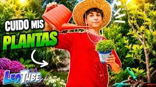MIS PLANTAS Y YO 1