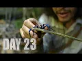 Download Lagu เอาชีวิตรอด DAY 23 ออกหาอาหารในป่าดิบฝน…!!  [ โจโฉ ]