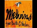 Youth of America - Melvins
