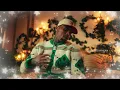 Chris Brown - It’s Giving Christmas (Visualizer)