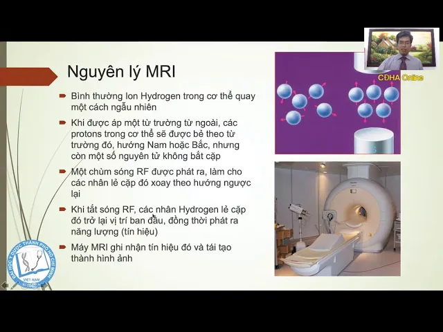HÌNH ẢNH HỌC ĐỘT QUỴ | TS. BS. Nguyễn Bá Thắng