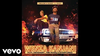 Wenza Kanjani (Official Audio) (feat. 2woshort, BoontleRSA & TNK MusiQ)