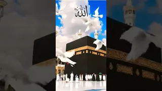 Bari Hasrat Hai Tere Bohy Ty Trending Viral Naat Islamicstatus Islam Love 3k  Bari Hasrat Hai Tere Bohy Ty Trending Viral Naat Islamicstatus Islam Love 3k