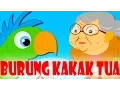 Burung Kakak Tua | Lagu Kanak-Kanak Melayu Malaysia